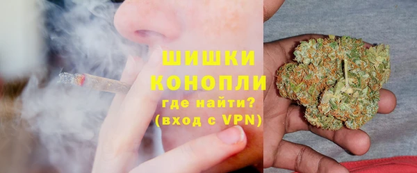 ПСИЛОЦИБИНОВЫЕ ГРИБЫ Дмитров