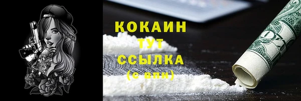 метадон Ельня