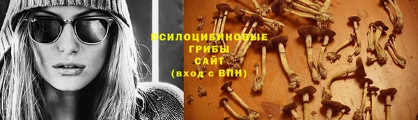ешки Дмитровск